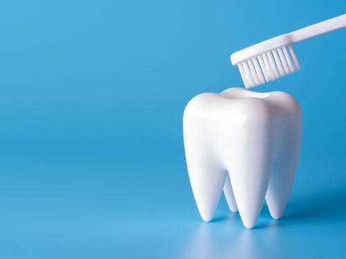 CPD Llandough - Oral Surgery - Hands On – 21st January 2026