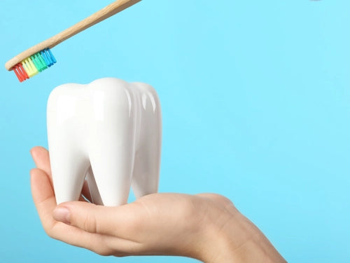 CPD Tooth wear (Hands on) - Ysbyty Glan Clwyd