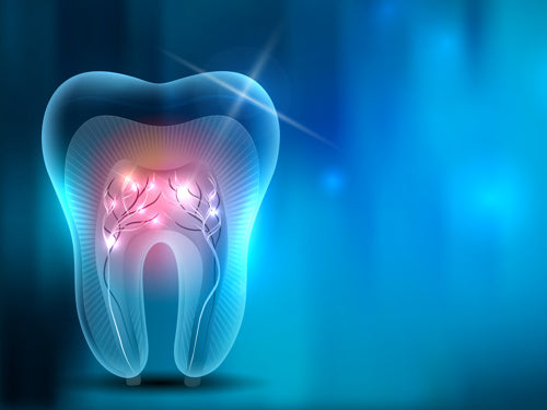 Hands on Crown & Bridge Prep - Morriston Education Centre – April 12th 2023